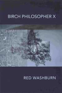 Birch Philosopher X