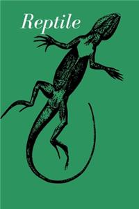 Reptile