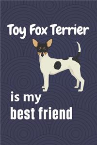 Toy Fox Terrier is my best friend