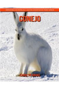 Conejo