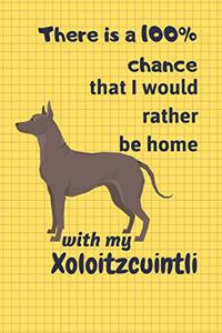 There is a 100% chance that I would rather be home with my Xoloitzcuintli