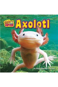 Axolotl