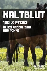 Kaltblut - 150% Pferd