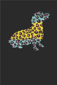 Dachshund Leopard