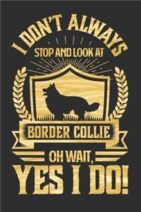 I Don't Always Stop and Look At Border Collie OH Wait, Yes I Do!