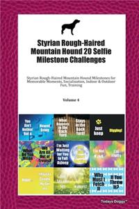 Styrian Rough-Haired Mountain Hound 20 Selfie Milestone Challenges