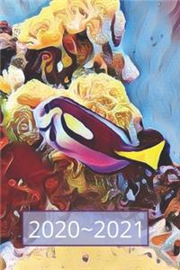 Blue & Yellow Tropical Parrot Fish Lover Dated Weekly 2 year Calendar Planner