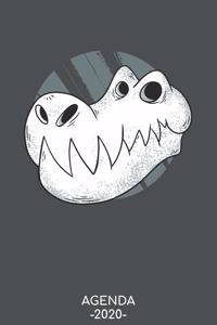 Agenda 2020