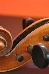 My Favorite Musical Instrument, Violin Journal