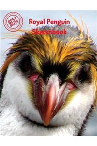 Royal Penguin Sketchbook