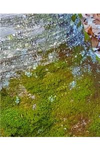 Moss Birch Tree Bark School Composition Book 130 Pages