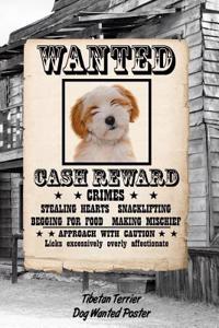 Tibetan Terrier Dog Wanted Poster