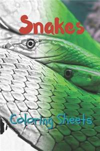 Snake Coloring Sheets