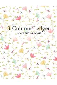 3 Column Ledger Accounting Book