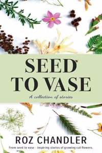 Seed To Vase