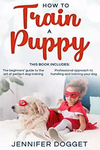 How to train a puppy