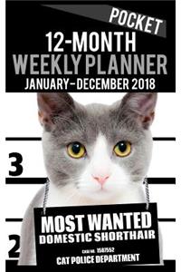 2018 Pocket Weekly Planner - Most Wanted Domestic Shorthair