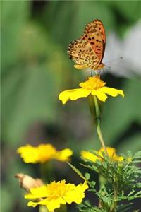 Butterfly On A Marigold Flower Notebook