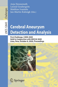 Cerebral Aneurysm Detection and Analysis