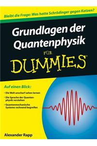 Grundlagen der Quantenphysik fur Dummies