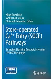 Store-Operated Ca2+ Entry (Soce) Pathways