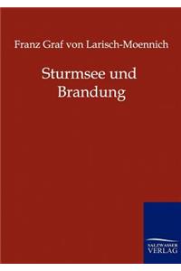 Sturmsee und Brandung