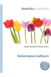 Heliotropium Balfourii