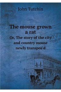 The Mouse Grown a Rat Or, the Story of the City and Country Mouse Newly Transpos'd