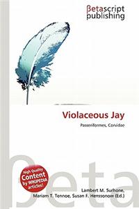 Violaceous Jay