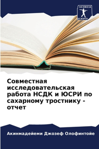 Совместная исследовательская работа НСД&