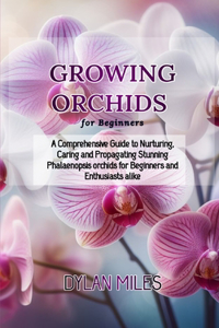 Growing Orchids for Beginners