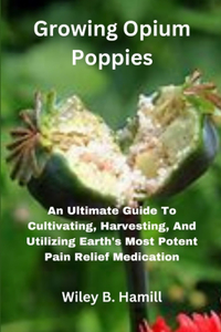 Growing Opium Poppies