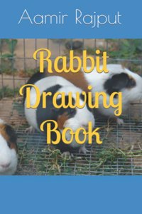 Rabbit Drawing Book