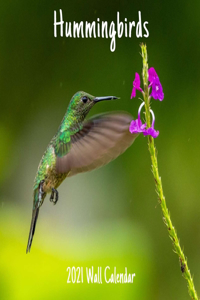 Hummingbirds 2021 Wall Calendar