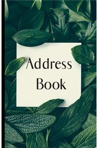 Address Book