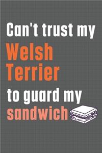 Can't trust my Welsh Terrier to guard my sandwich
