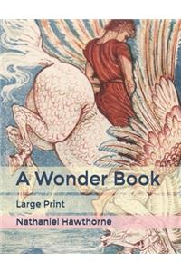A Wonder Book