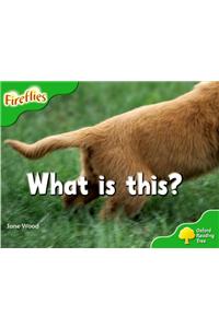 Oxford Reading Tree: Level 2: More Fireflies A: What Is This?