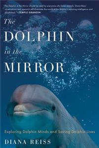 The Dolphin in the Mirror