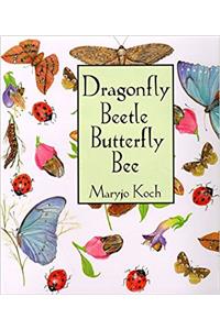 Dragonfly Beetle Butterfly Bee