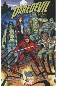 Daredevil, Volume 7