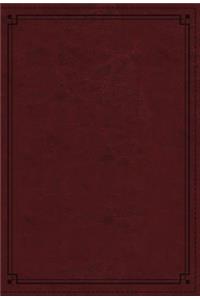 NKJV Study Bible, Imitation Leather, Red, Indexed, Comfort Print