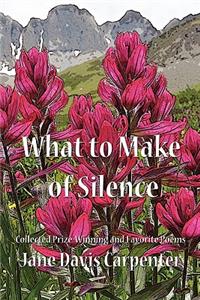 What to Make of Silence