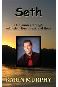 Seth Our Journey through Addiction, Heartbreak, and Hope