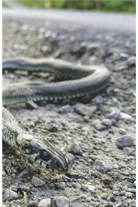 Travelbook/120 Seiten/Sketch Seiten