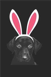 Labrador Journal - Labrador Notebook - Easter Gift for Labrador Lovers