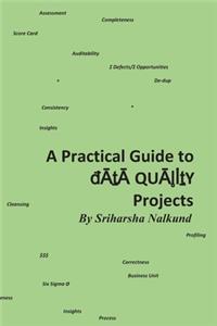 Practical Guide to Data Quality Projects