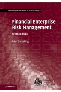 Financial Enterprise Risk Management