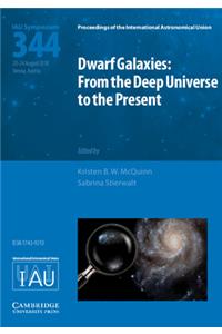 Dwarf Galaxies (IAU S344)