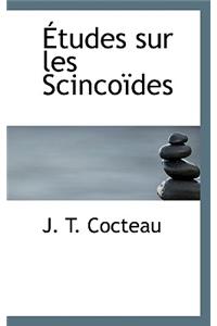 Etudes Sur Les Scinco Des